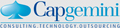 logo_Capgemini-grey